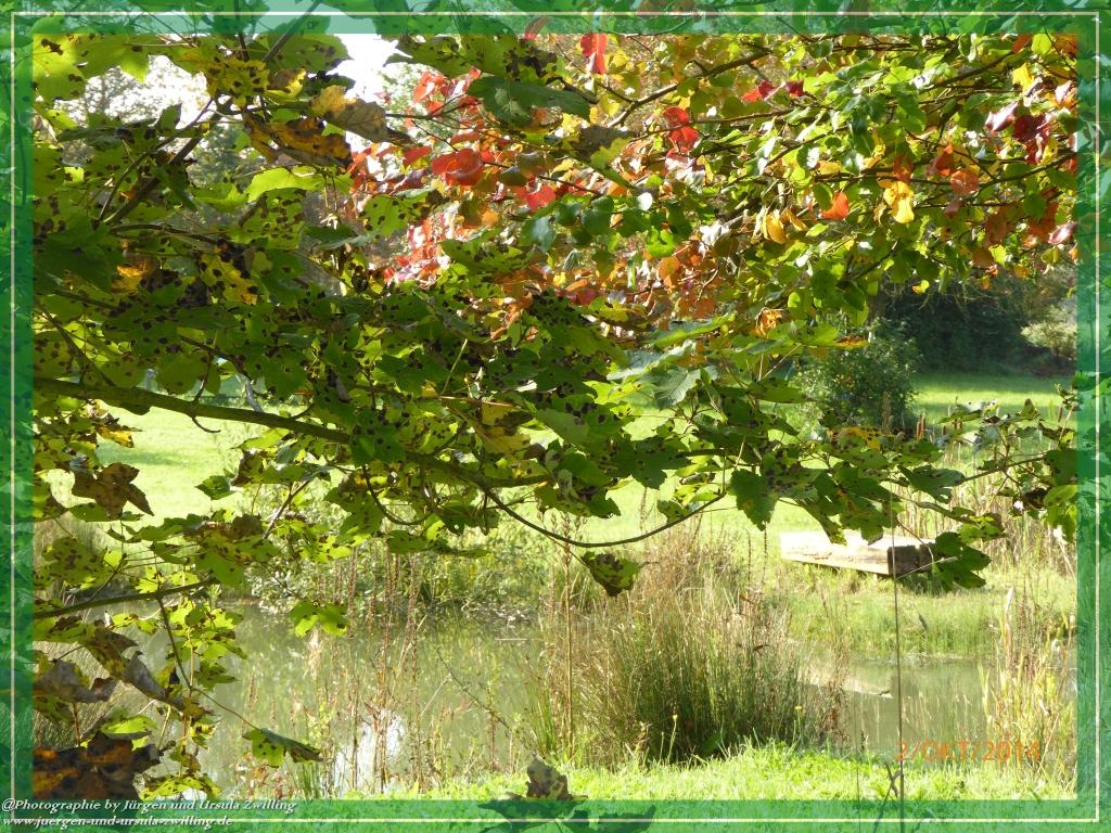 Philosophische Bildwanderung Hiwweltour-Tiefenthaler Höhe