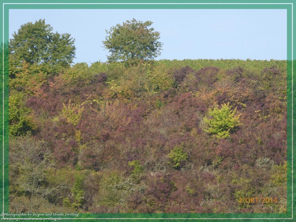 Philosophische Bildwanderung Hiwweltour-Tiefenthaler Höhe