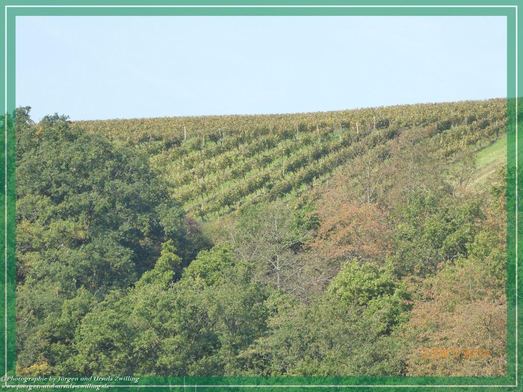 Philosophische Bildwanderung Hiwweltour-Tiefenthaler Höhe