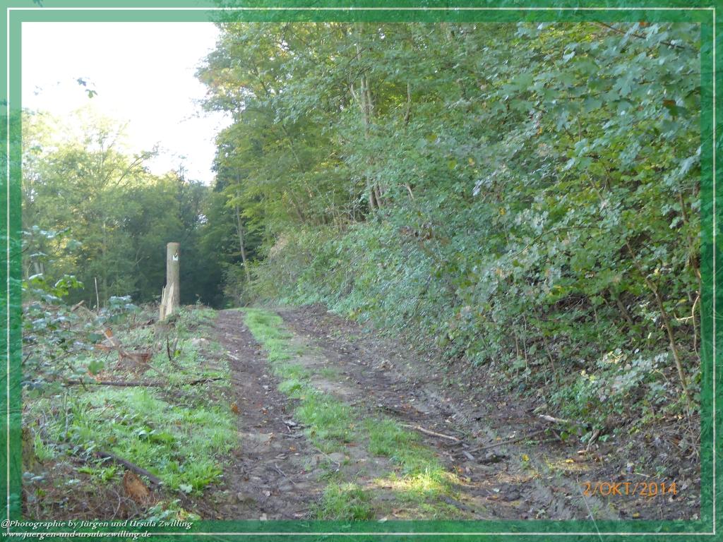 Philosophische Bildwanderung Hiwweltour-Tiefenthaler Höhe