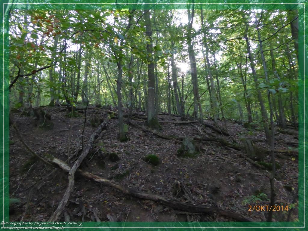 Philosophische Bildwanderung Hiwweltour-Tiefenthaler Höhe