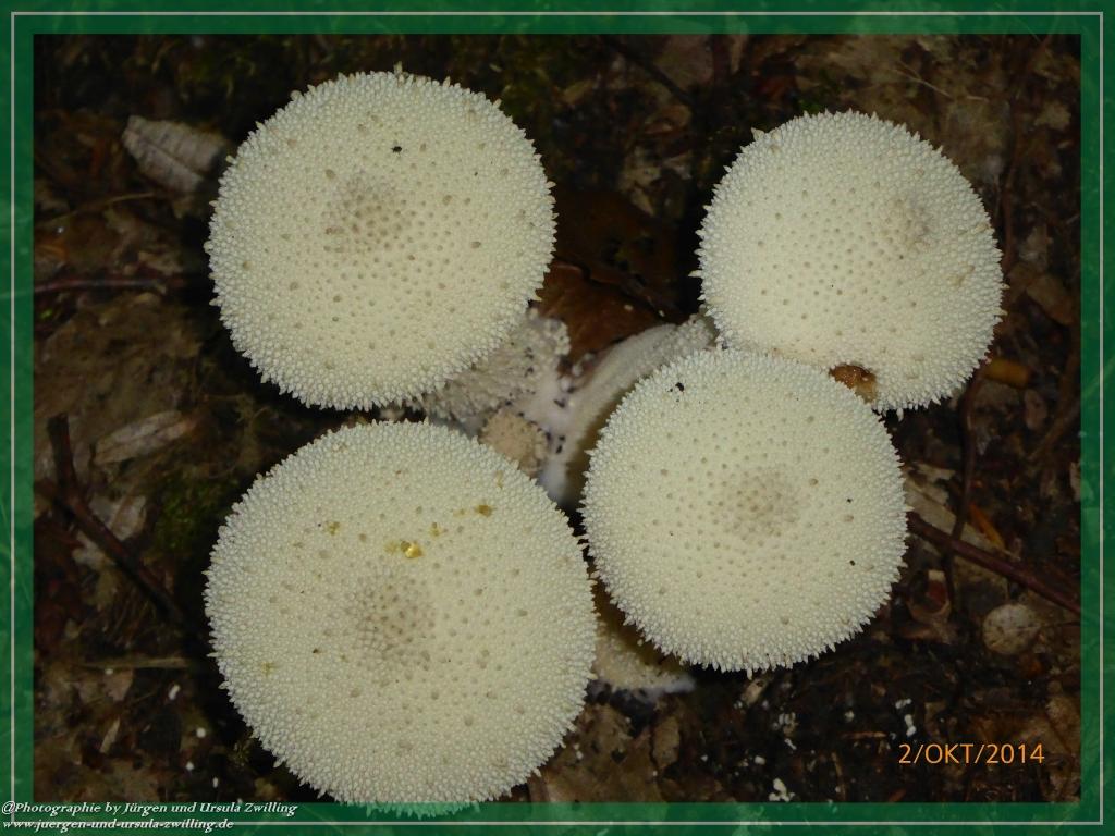 Philosophische Bildwanderung Hiwweltour-Tiefenthaler Höhe