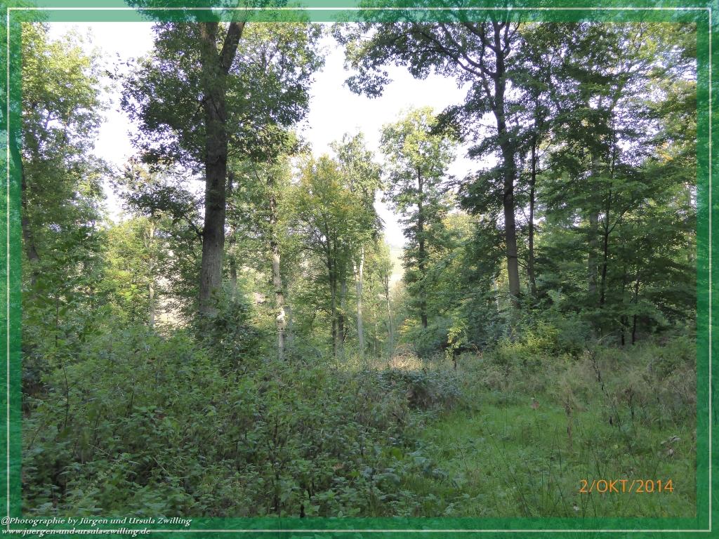 Philosophische Bildwanderung Hiwweltour-Tiefenthaler Höhe