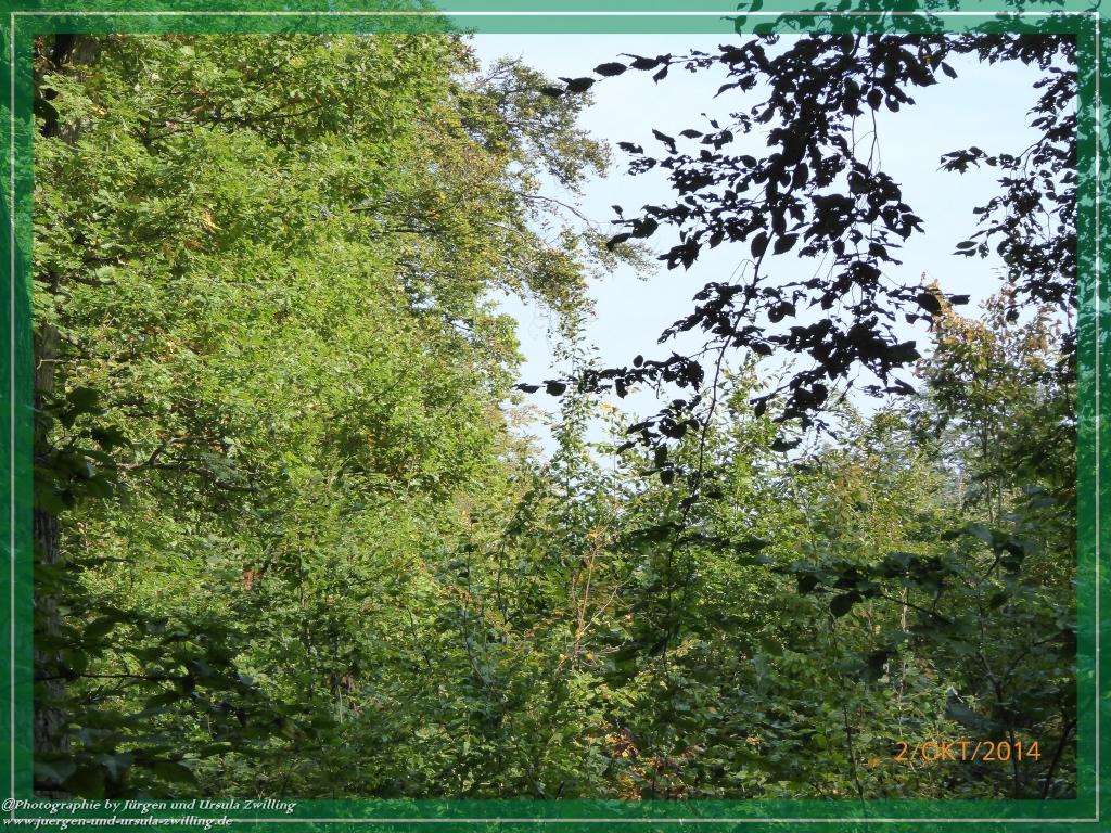 Philosophische Bildwanderung Hiwweltour-Tiefenthaler Höhe