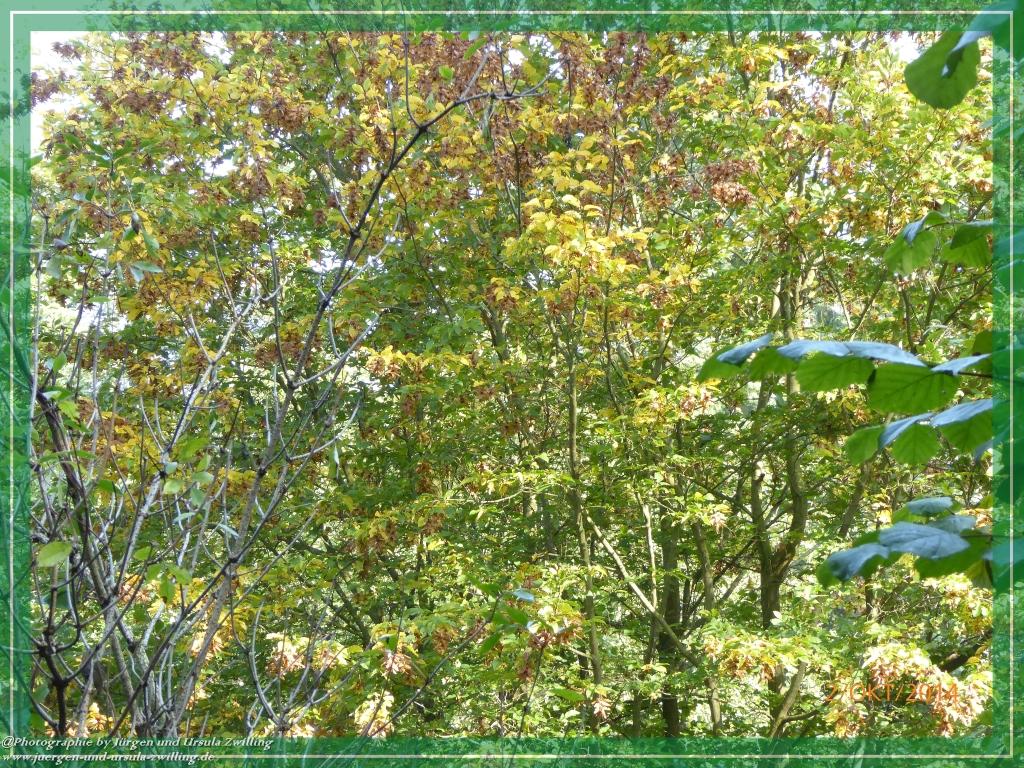 Philosophische Bildwanderung Hiwweltour-Tiefenthaler Höhe