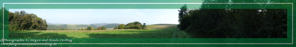 Philosophische Bildwanderung Hiwweltour-Tiefenthaler Höhe