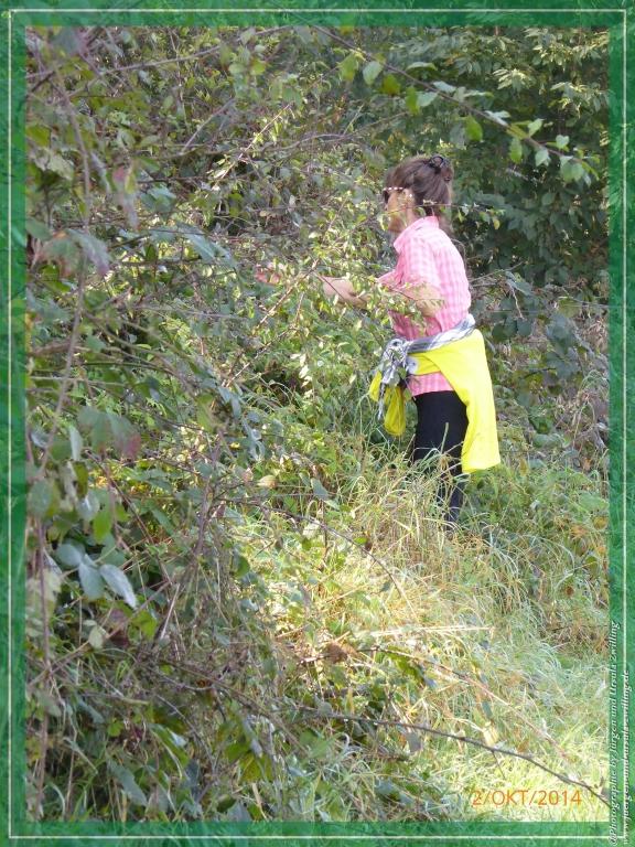 Philosophische Bildwanderung Hiwweltour-Tiefenthaler Höhe