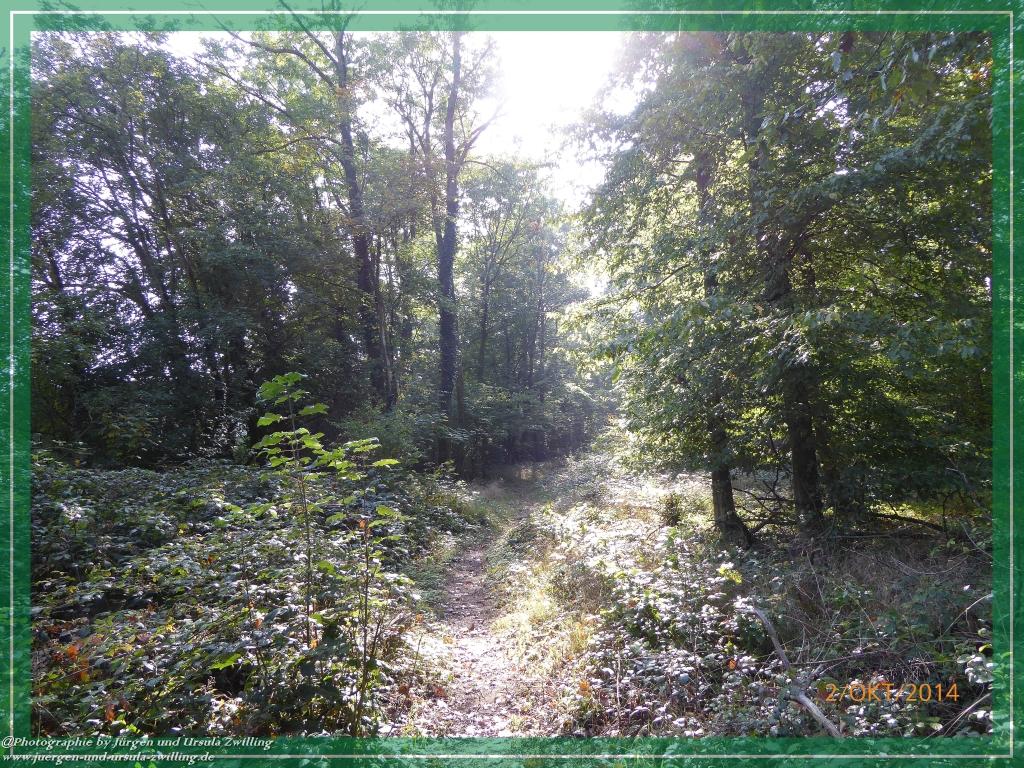 Philosophische Bildwanderung Hiwweltour-Tiefenthaler Höhe