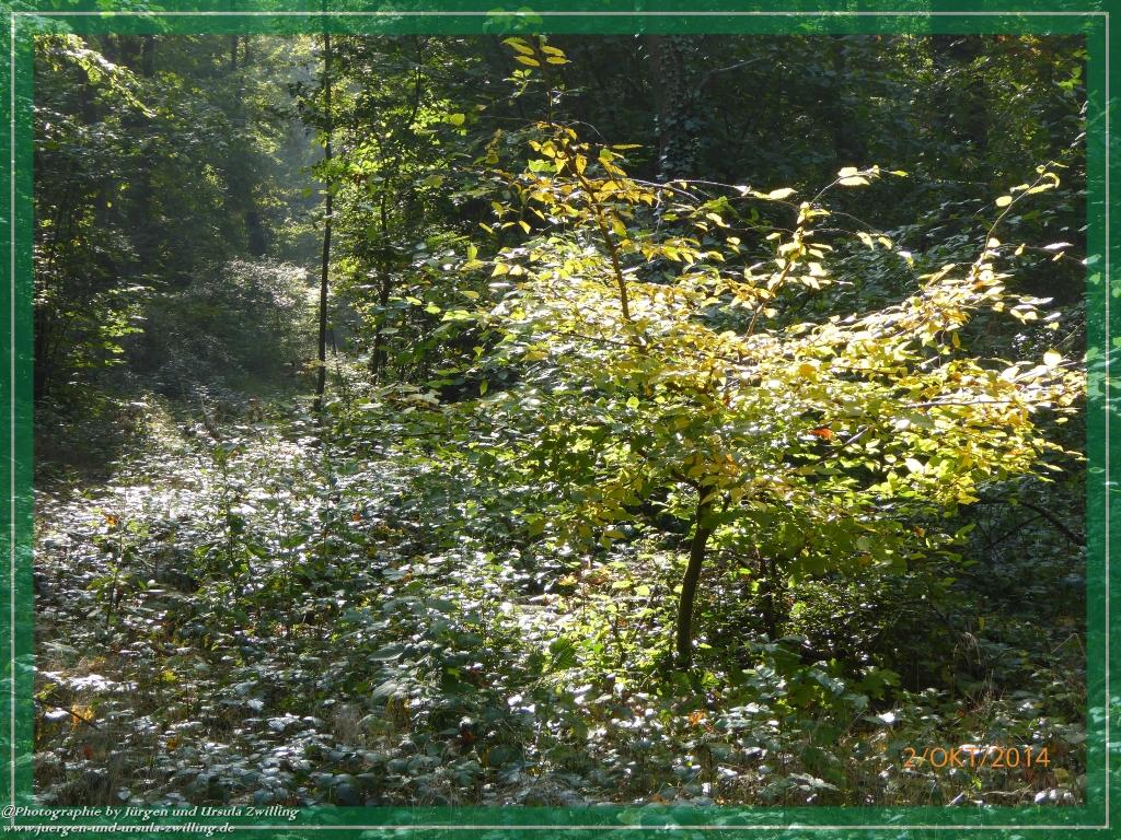 Philosophische Bildwanderung Hiwweltour-Tiefenthaler Höhe