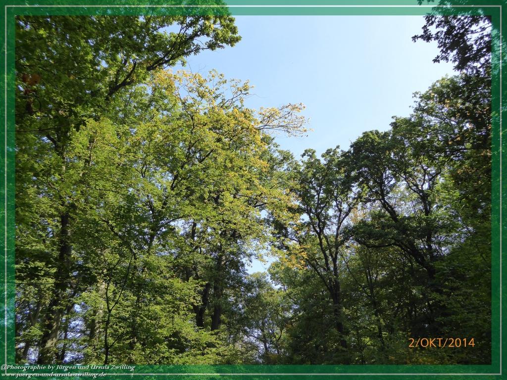 Philosophische Bildwanderung Hiwweltour-Tiefenthaler Höhe