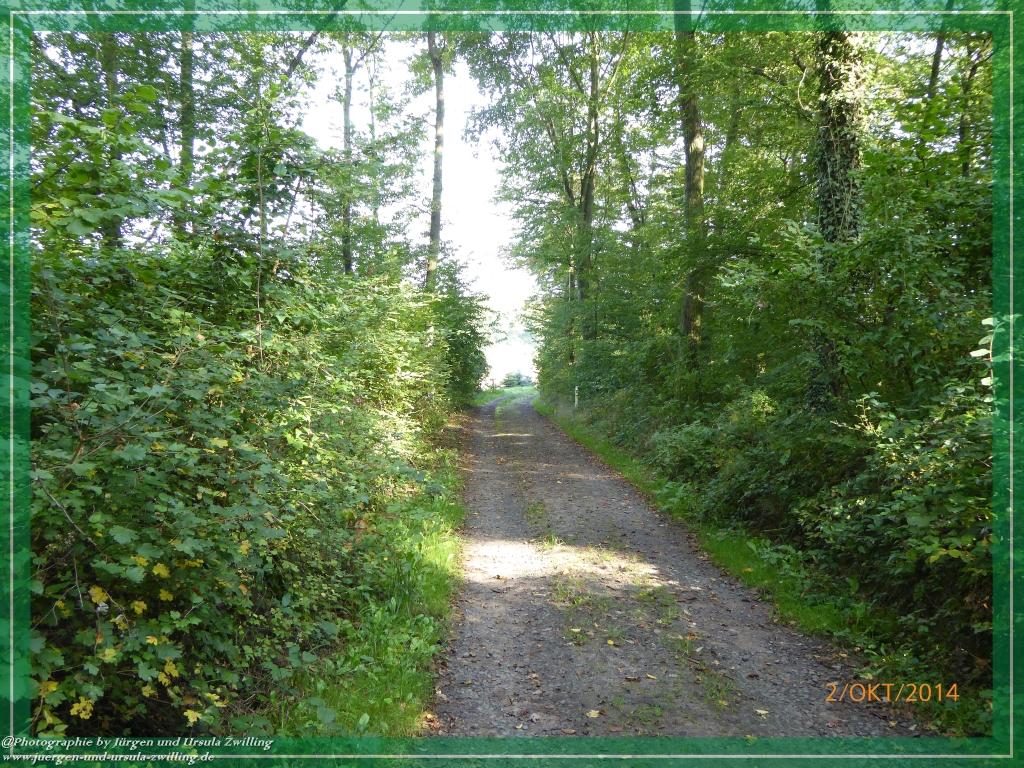 Philosophische Bildwanderung Hiwweltour-Tiefenthaler Höhe