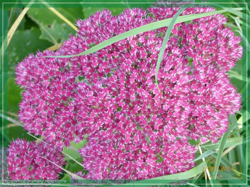 Philosophische Bildwanderung Hiwweltour-Tiefenthaler Höhe