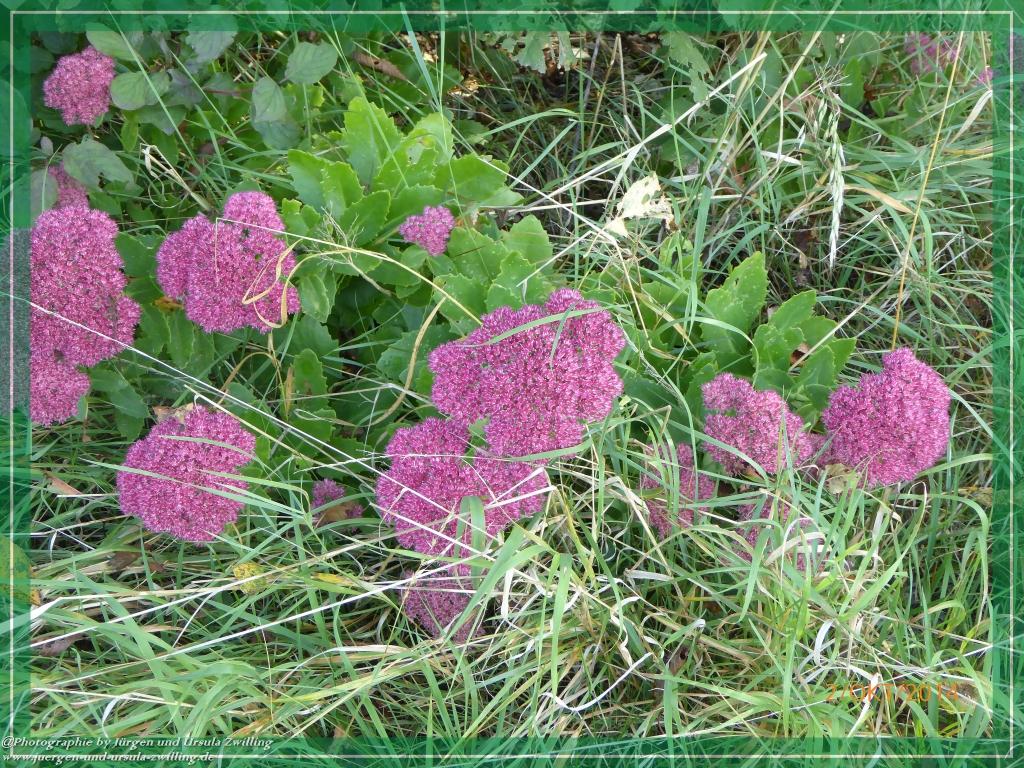 Philosophische Bildwanderung Hiwweltour-Tiefenthaler Höhe