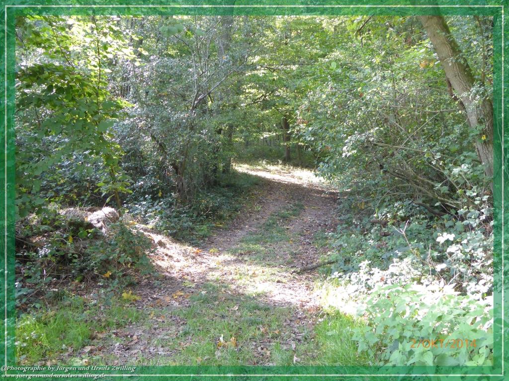 Philosophische Bildwanderung Hiwweltour-Tiefenthaler Höhe