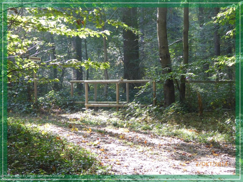 Philosophische Bildwanderung Hiwweltour-Tiefenthaler Höhe