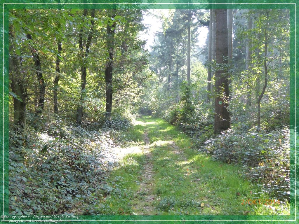 Philosophische Bildwanderung Hiwweltour-Tiefenthaler Höhe