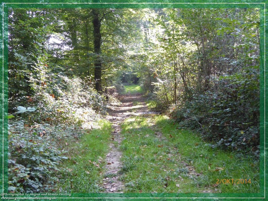 Philosophische Bildwanderung Hiwweltour-Tiefenthaler Höhe