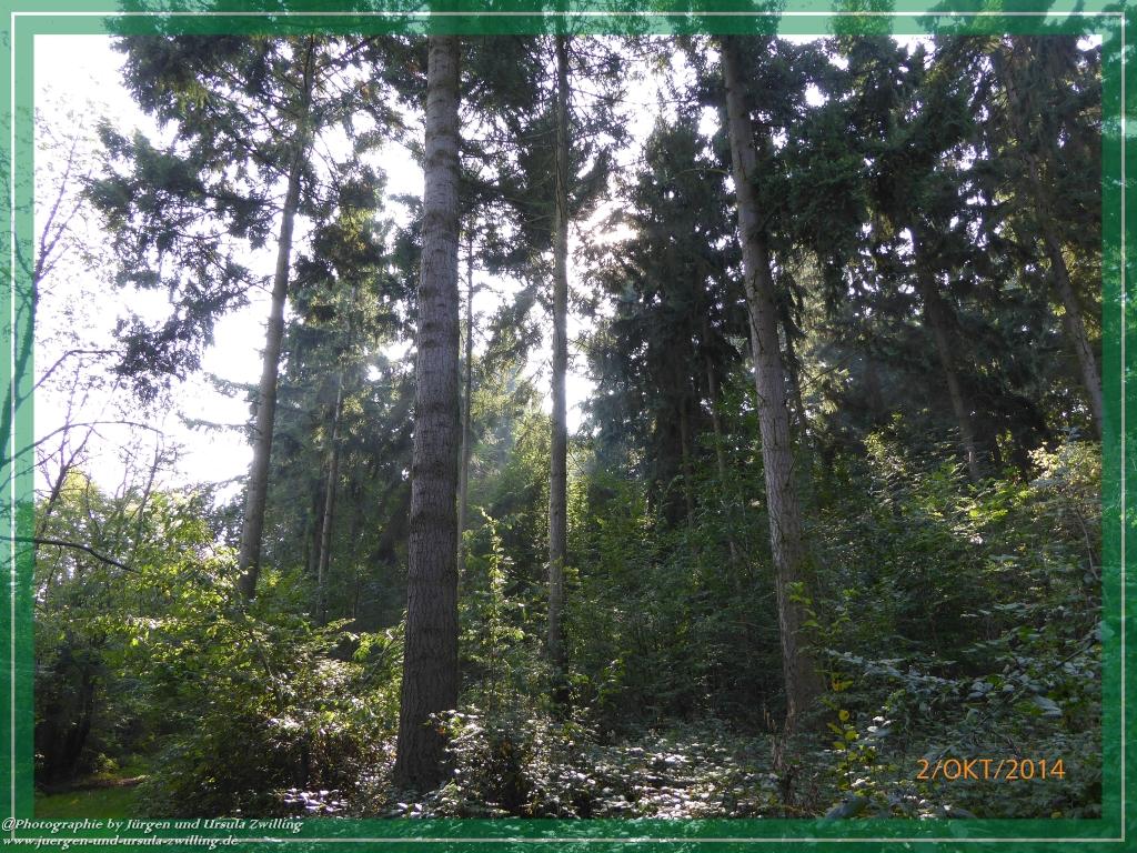 Philosophische Bildwanderung Hiwweltour-Tiefenthaler Höhe