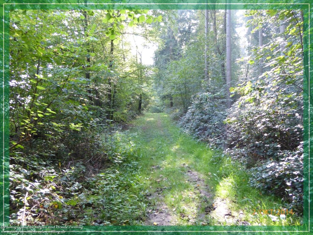 Philosophische Bildwanderung Hiwweltour-Tiefenthaler Höhe