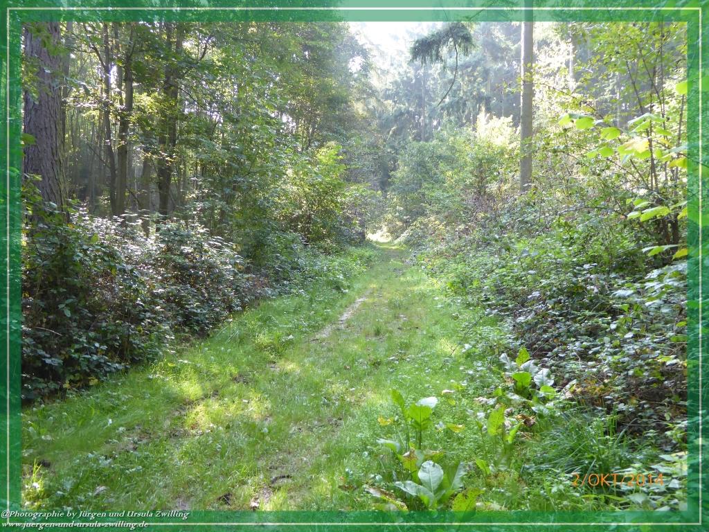 Philosophische Bildwanderung Hiwweltour-Tiefenthaler Höhe