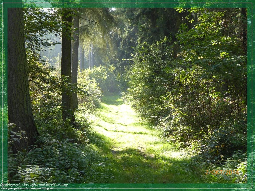 Philosophische Bildwanderung Hiwweltour-Tiefenthaler Höhe