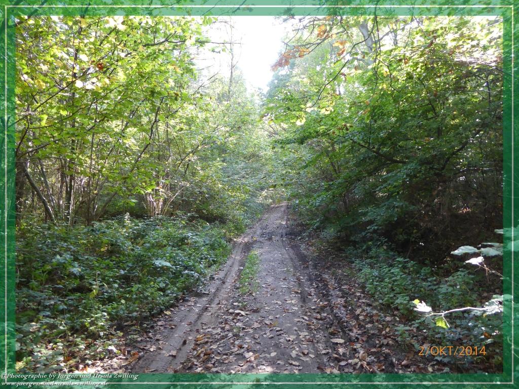 Philosophische Bildwanderung Hiwweltour-Tiefenthaler Höhe