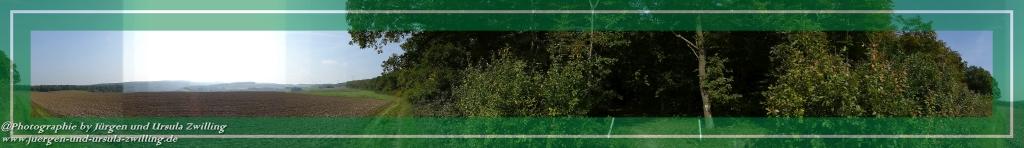 Philosophische Bildwanderung Hiwweltour-Tiefenthaler Höhe