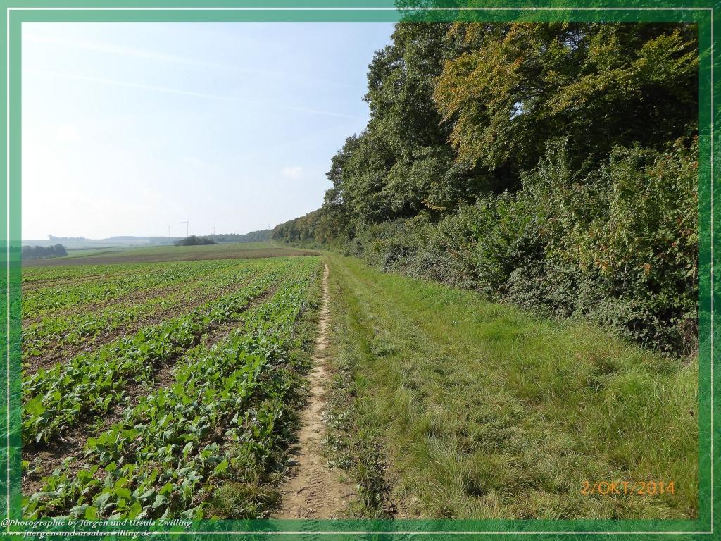 Philosophische Bildwanderung Hiwweltour-Tiefenthaler Höhe