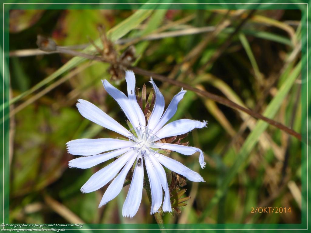 Philosophische Bildwanderung Hiwweltour-Tiefenthaler Höhe
