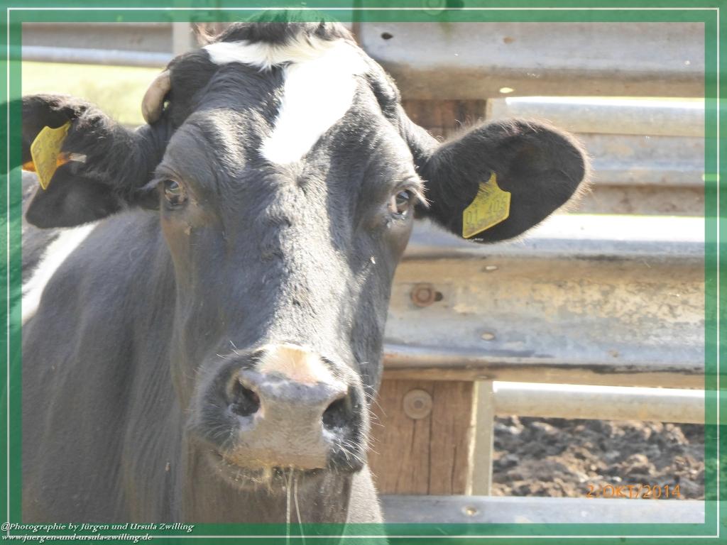 Philosophische Bildwanderung Hiwweltour-Tiefenthaler Höhe