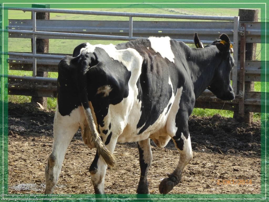 Philosophische Bildwanderung Hiwweltour-Tiefenthaler Höhe