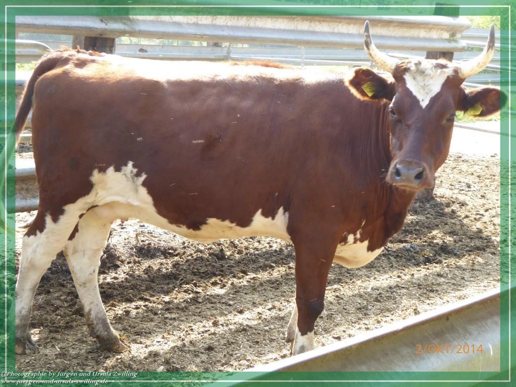 Philosophische Bildwanderung Hiwweltour-Tiefenthaler Höhe