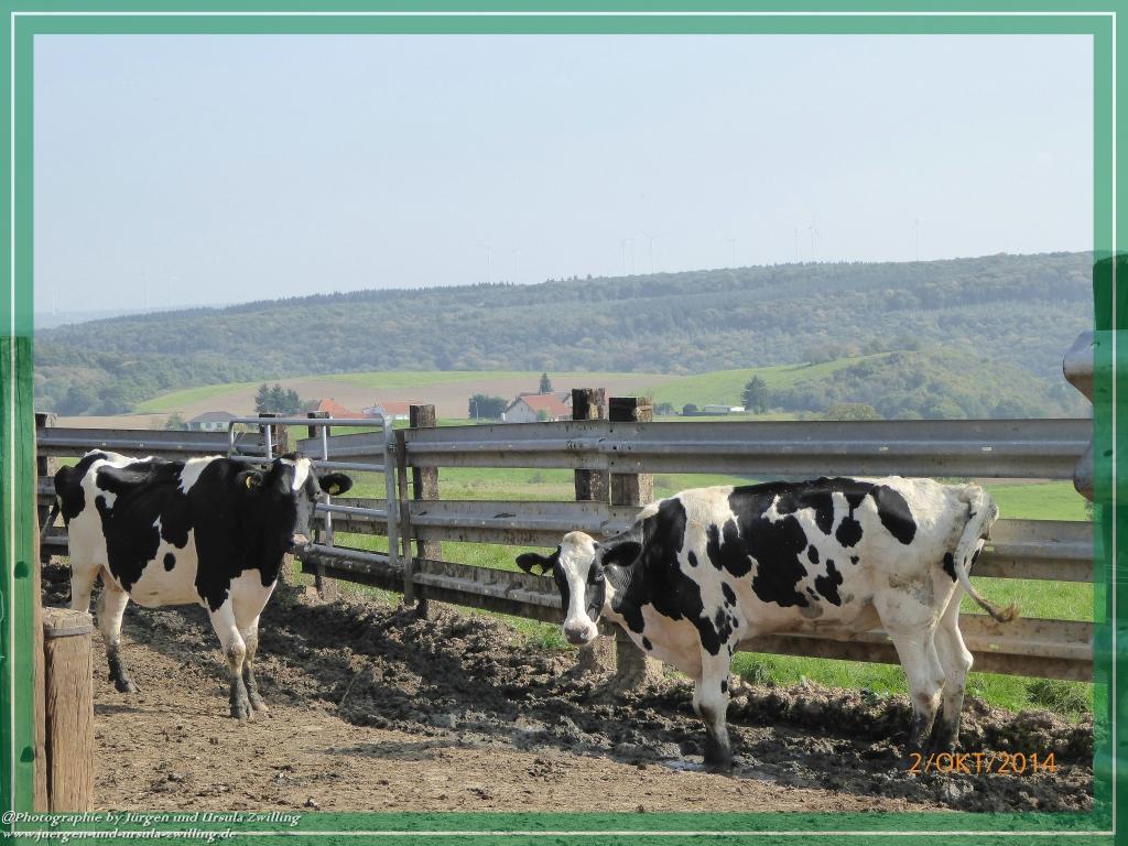 Philosophische Bildwanderung Hiwweltour-Tiefenthaler Höhe