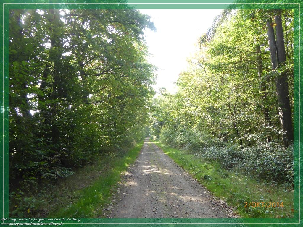 Philosophische Bildwanderung Hiwweltour-Tiefenthaler Höhe