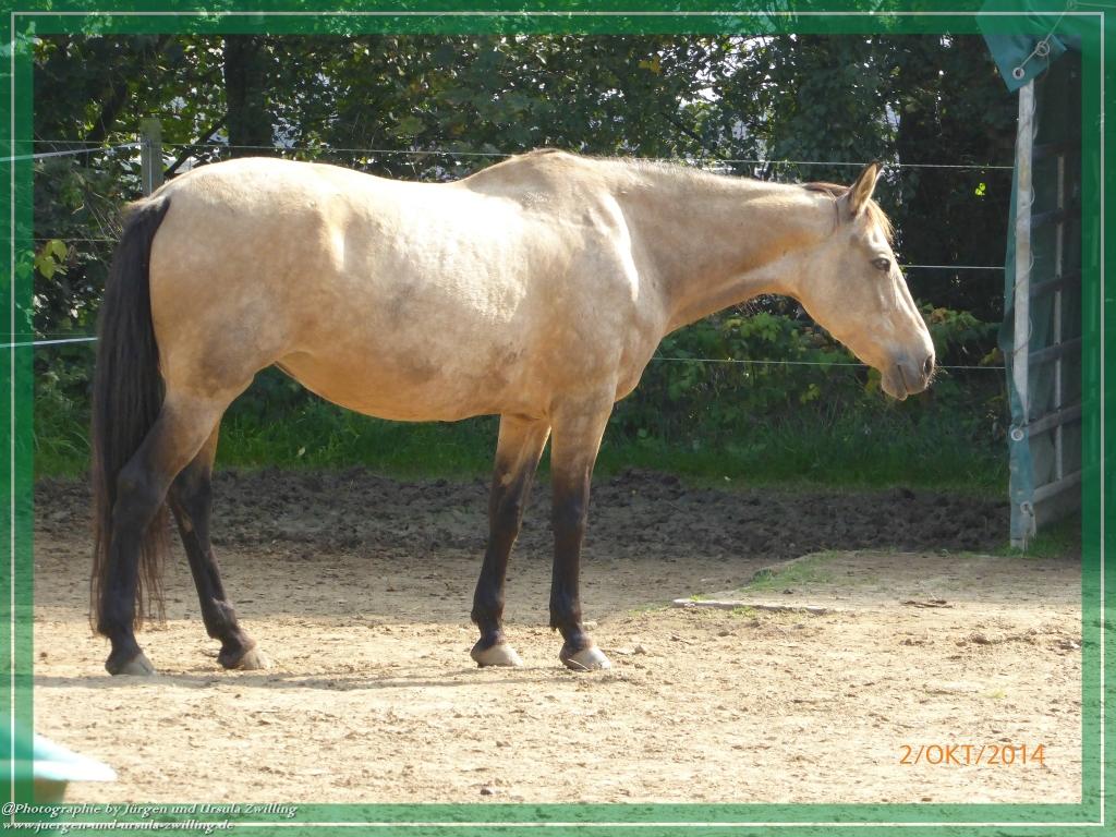 Philosophische Bildwanderung Hiwweltour-Tiefenthaler Höhe