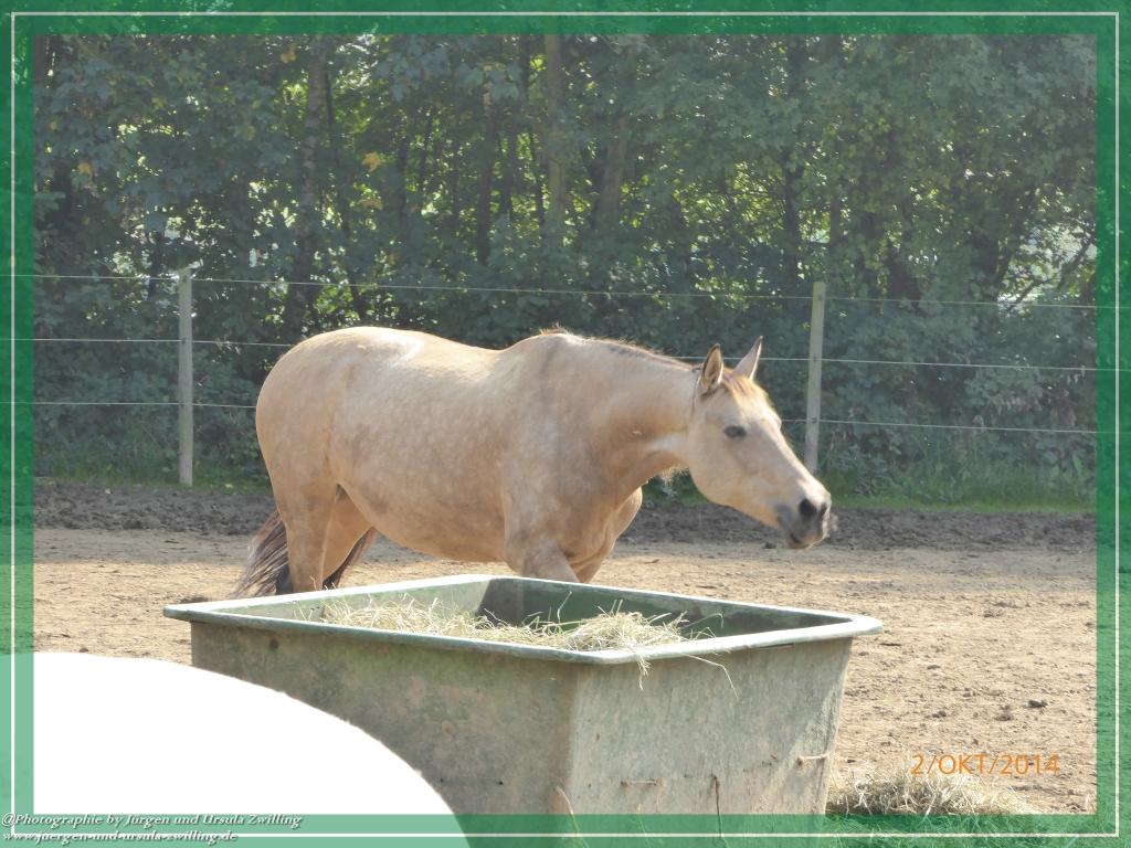 Philosophische Bildwanderung Hiwweltour-Tiefenthaler Höhe