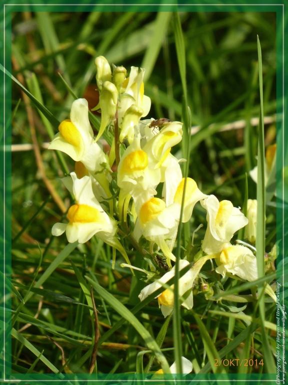 Philosophische Bildwanderung Hiwweltour-Tiefenthaler Höhe