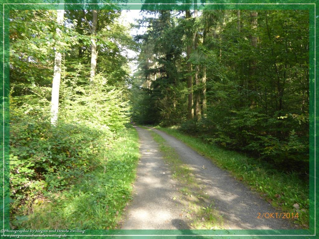 Philosophische Bildwanderung Hiwweltour-Tiefenthaler Höhe