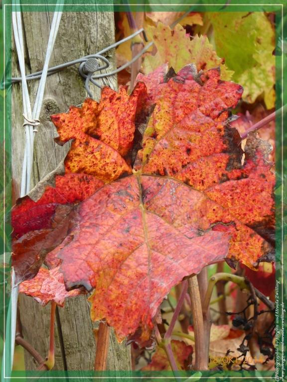 Philosophische Bildwanderung Hiwweltour-Heideblick