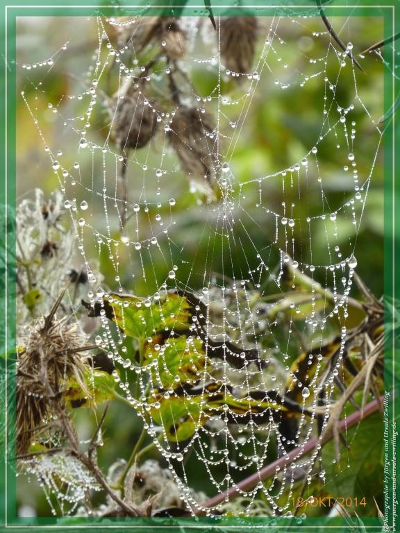 Philosophische Bildwanderung Hiwweltour-Heideblick