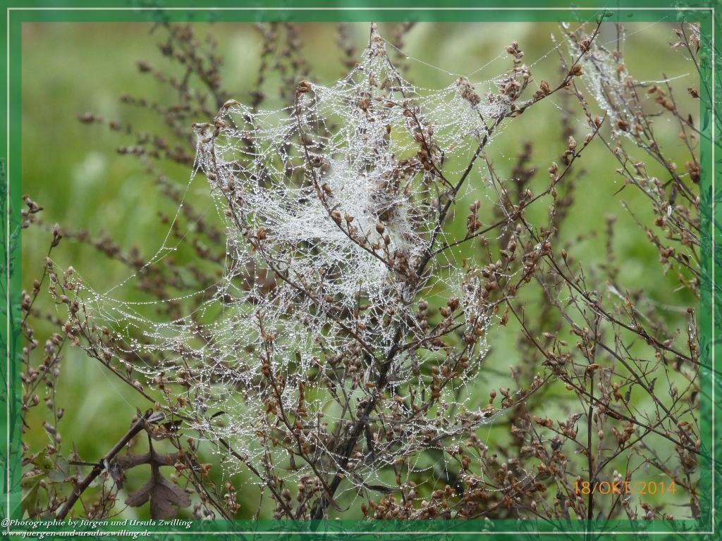 Philosophische Bildwanderung Hiwweltour-Heideblick