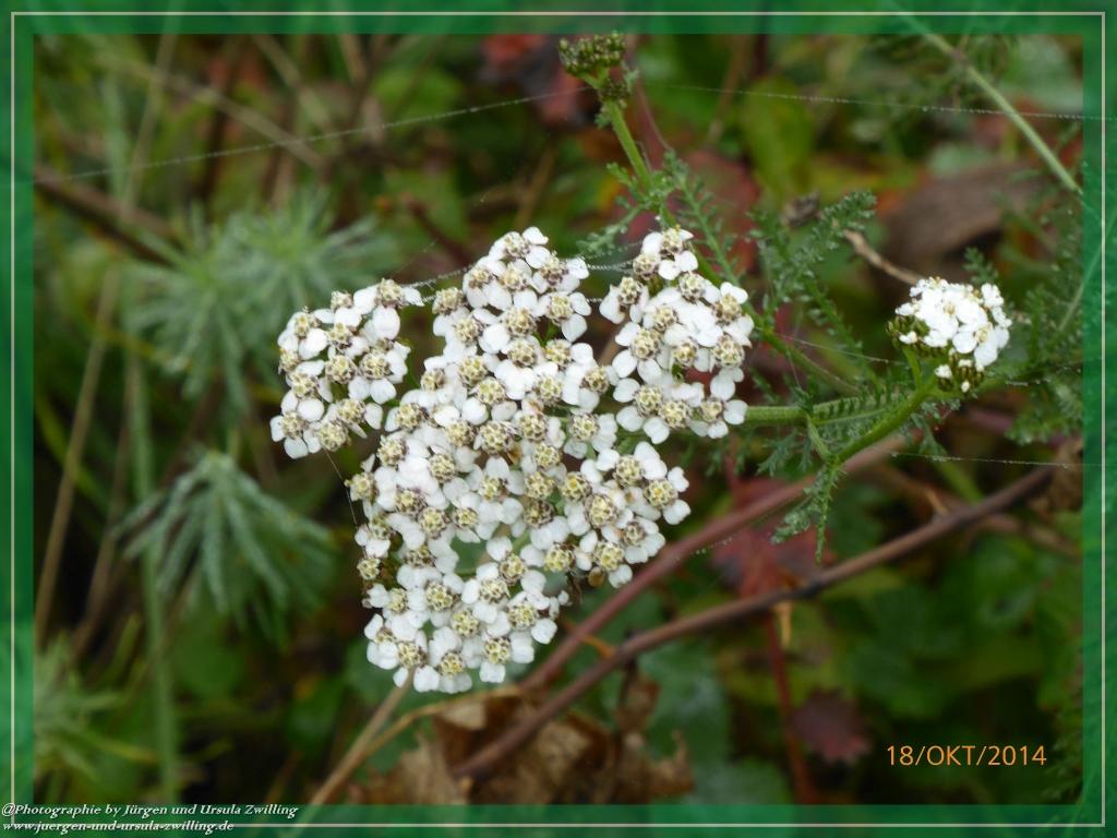 Philosophische Bildwanderung Hiwweltour-Heideblick