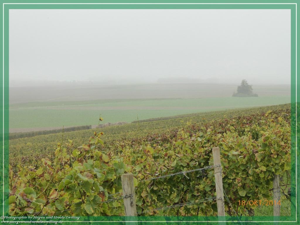 Philosophische Bildwanderung Hiwweltour-Heideblick