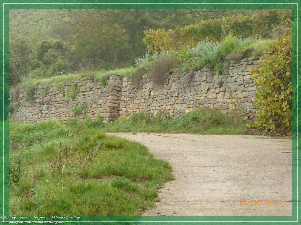 Philosophische Bildwanderung Hiwweltour-Heideblick