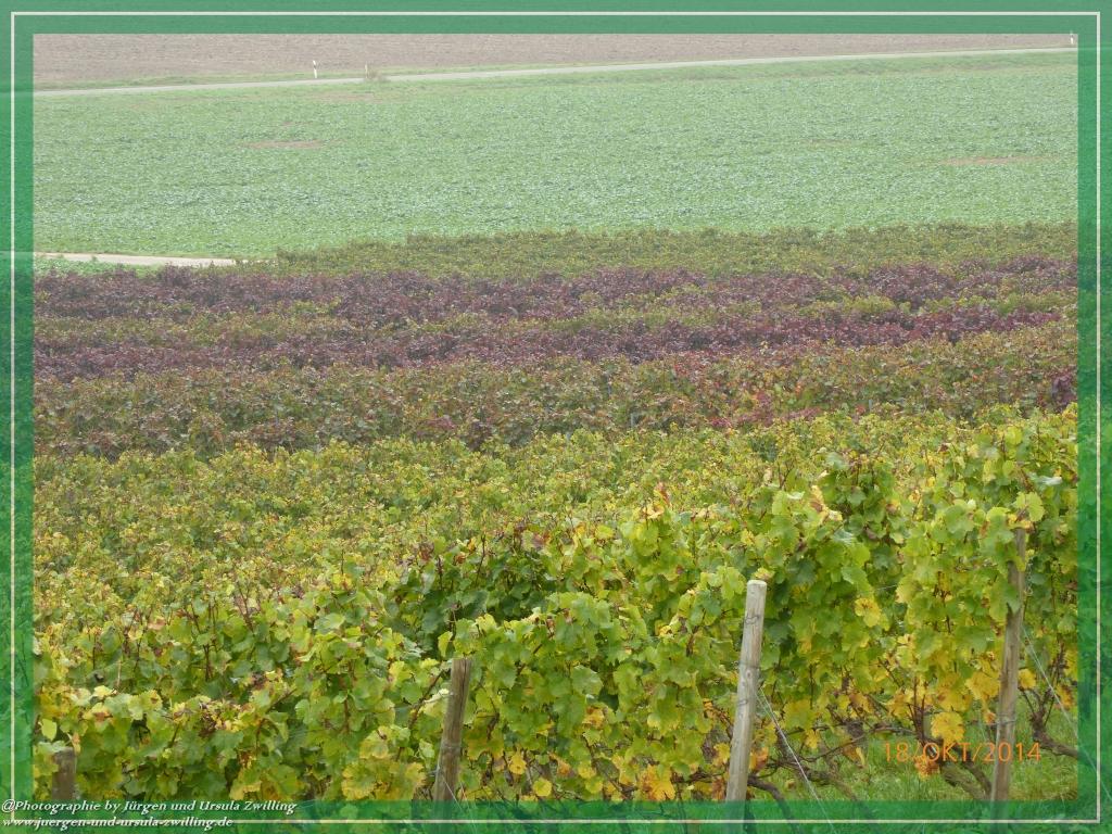 Philosophische Bildwanderung Hiwweltour-Heideblick