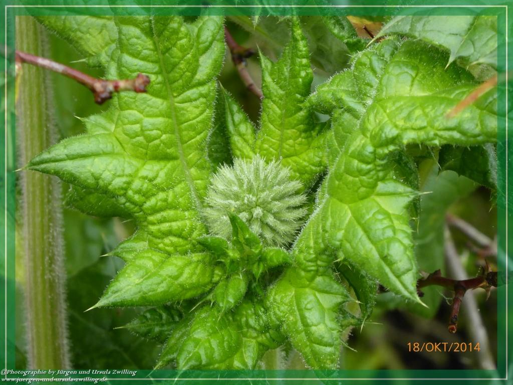 Philosophische Bildwanderung Hiwweltour-Heideblick