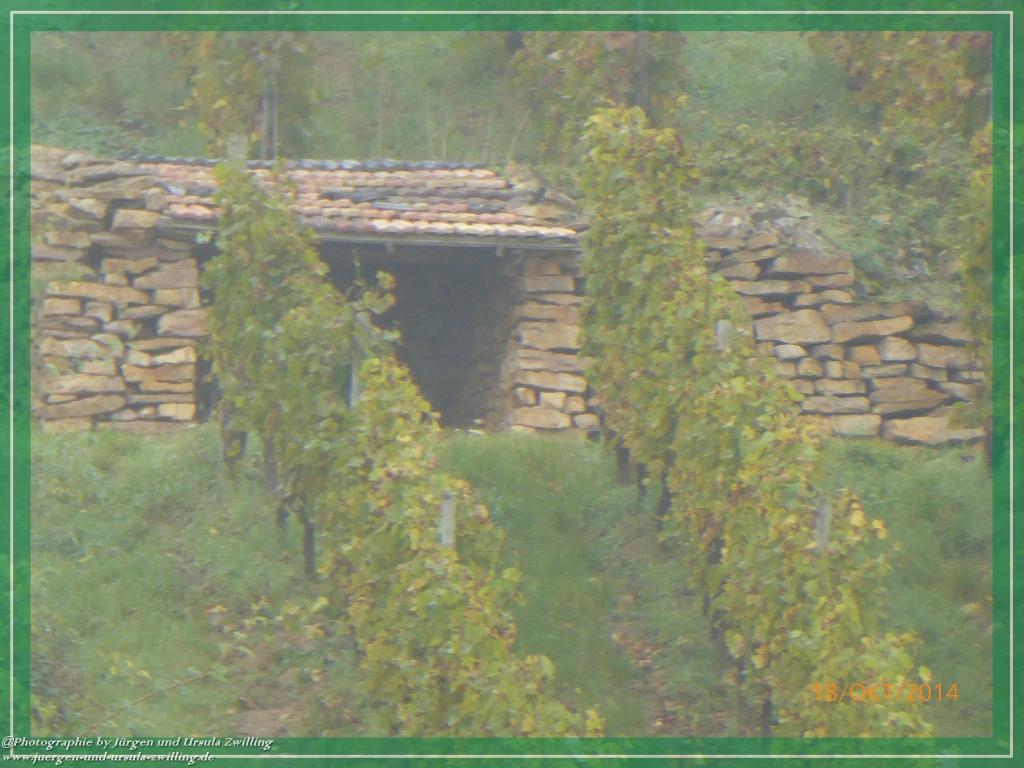 Philosophische Bildwanderung Hiwweltour-Heideblick