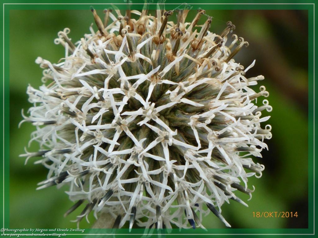 Philosophische Bildwanderung Hiwweltour-Heideblick