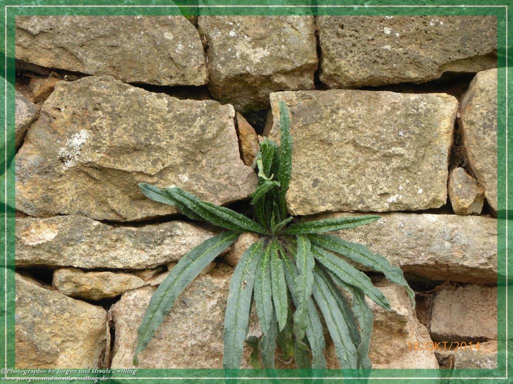 Philosophische Bildwanderung Hiwweltour-Heideblick