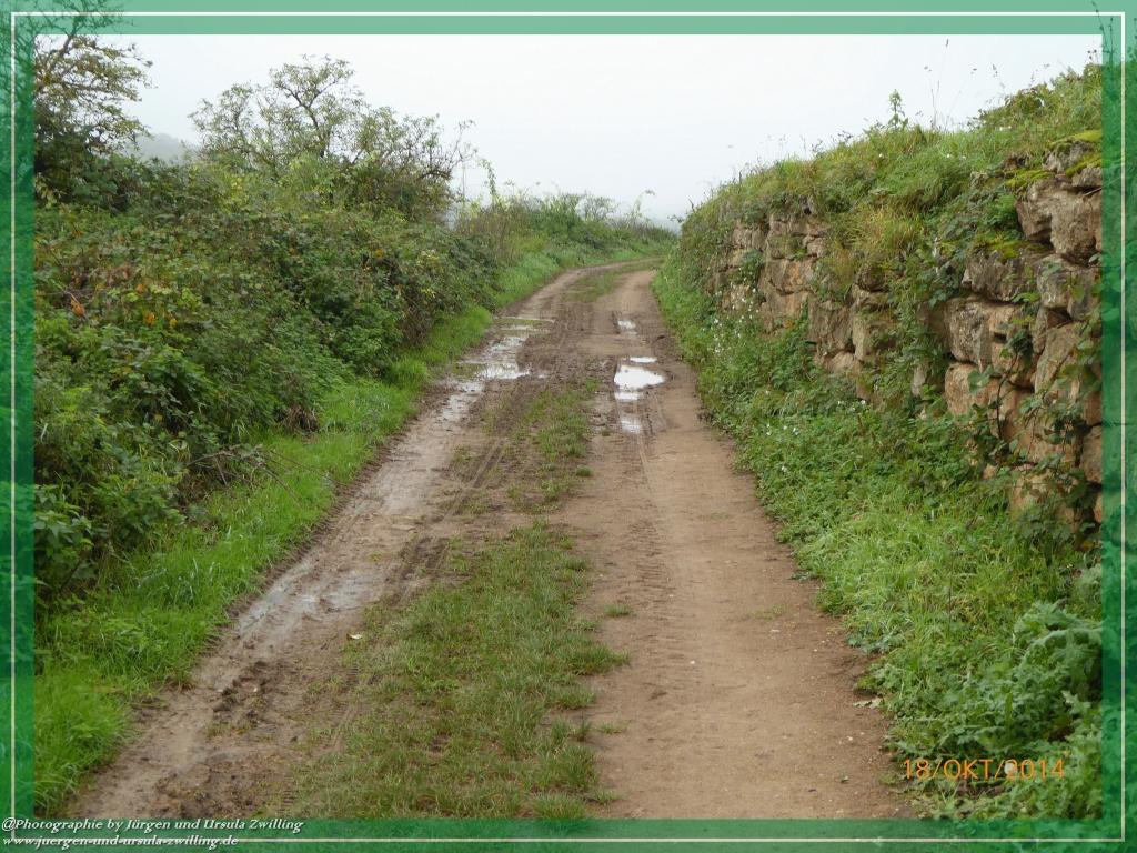 Philosophische Bildwanderung Hiwweltour-Heideblick